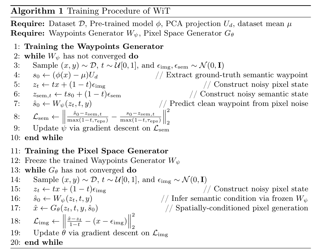 Algorithm 1 training procedure of WiT