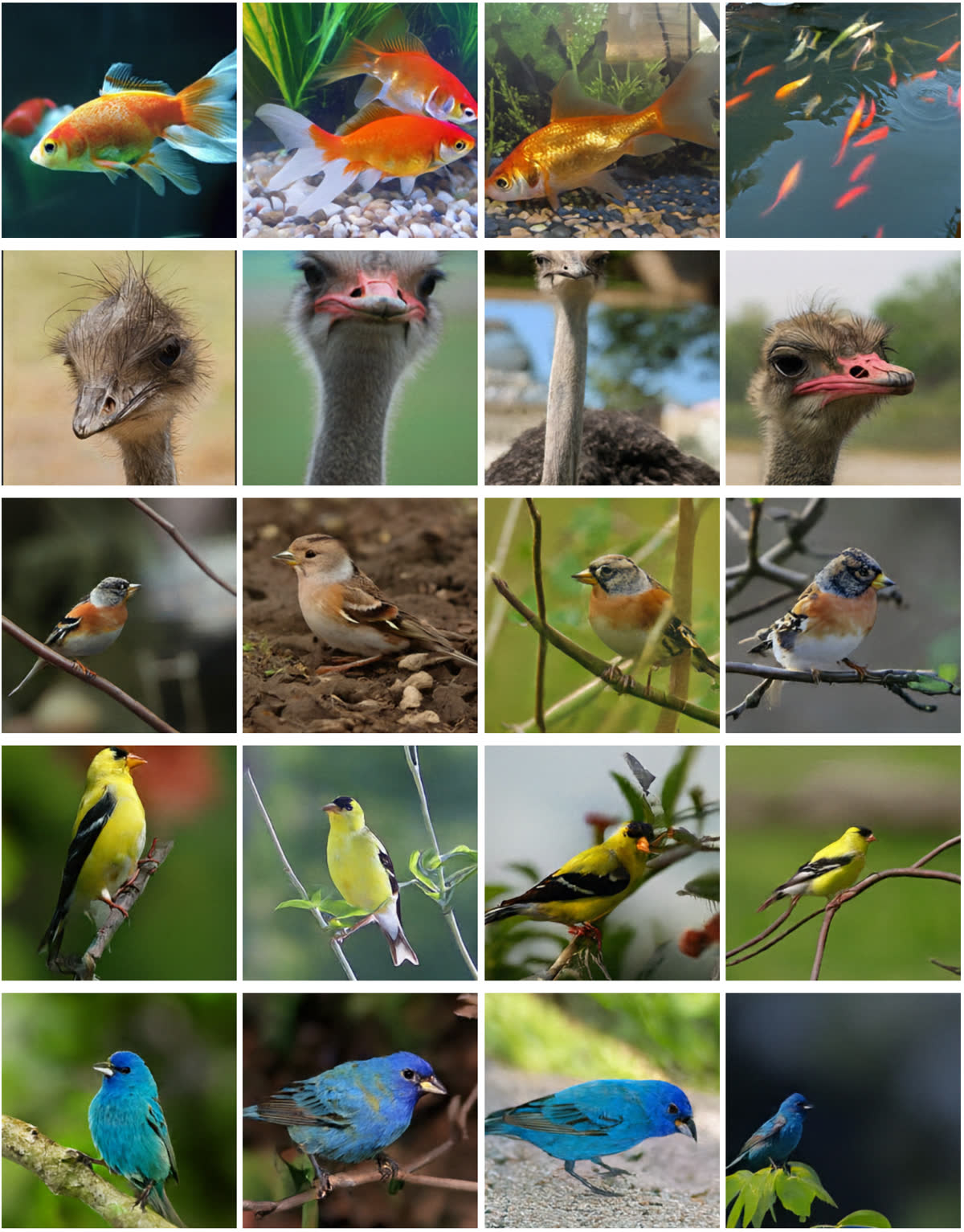 Additional WiT samples 1