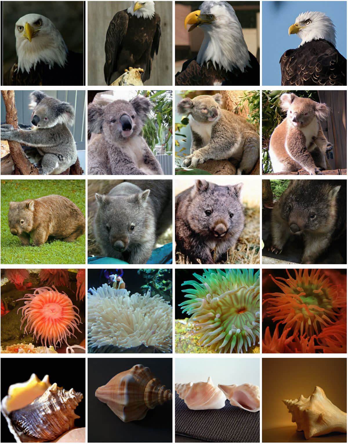 Additional WiT samples 2