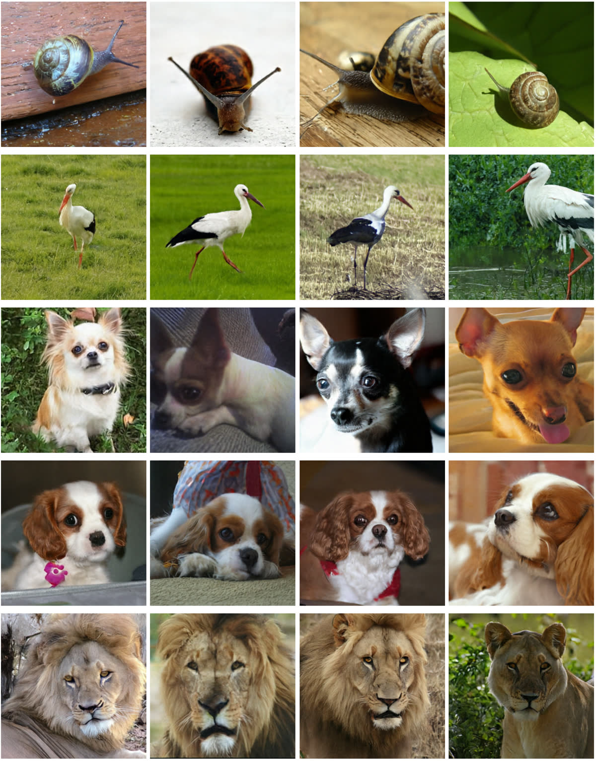 Additional WiT samples 3