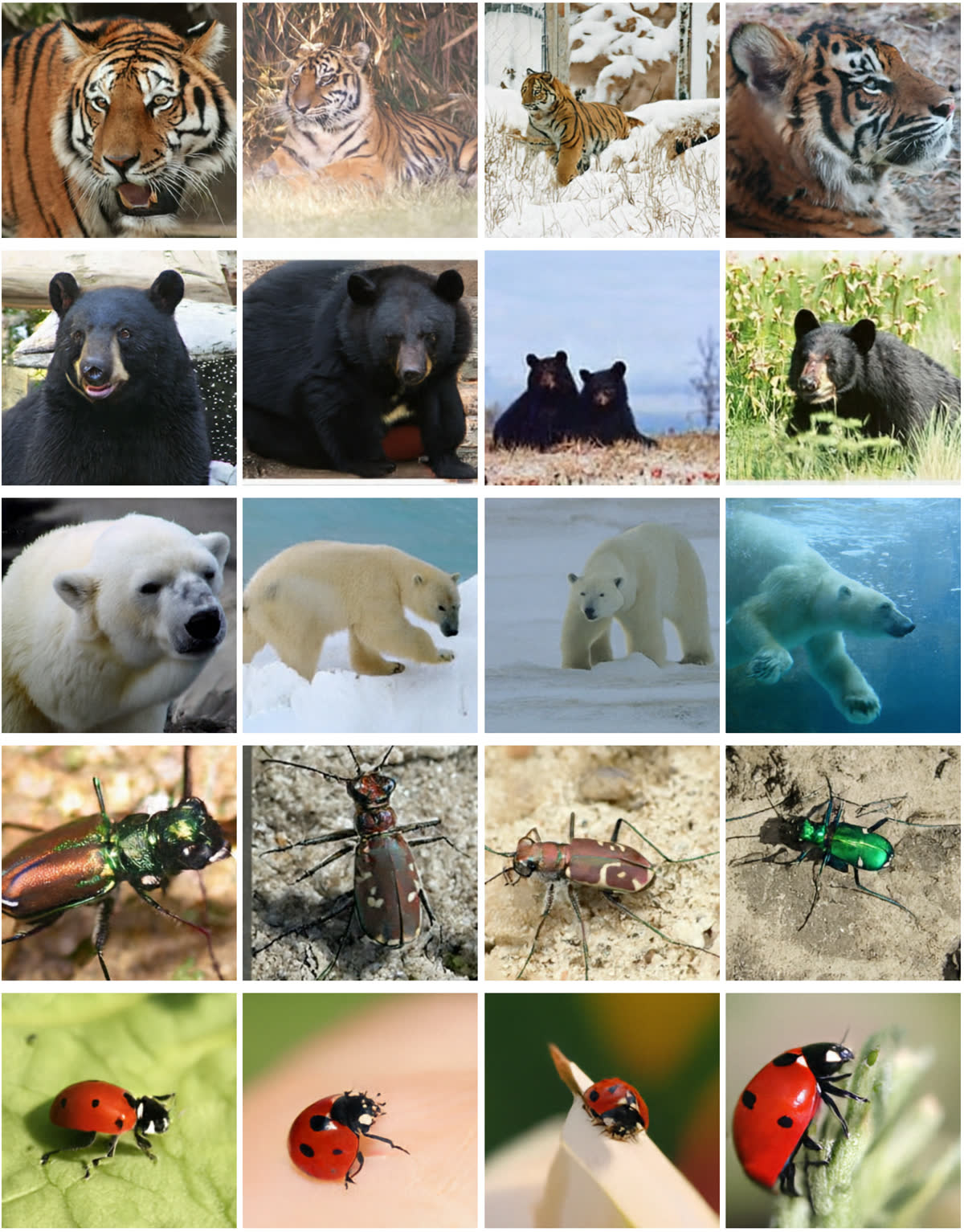 Additional WiT samples 4